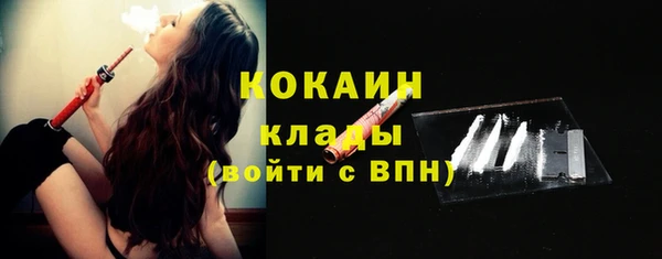 прущая мука Вяземский
